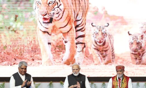 PM Modi launches International big cats alliance at commemoration of 50 years of project tiger